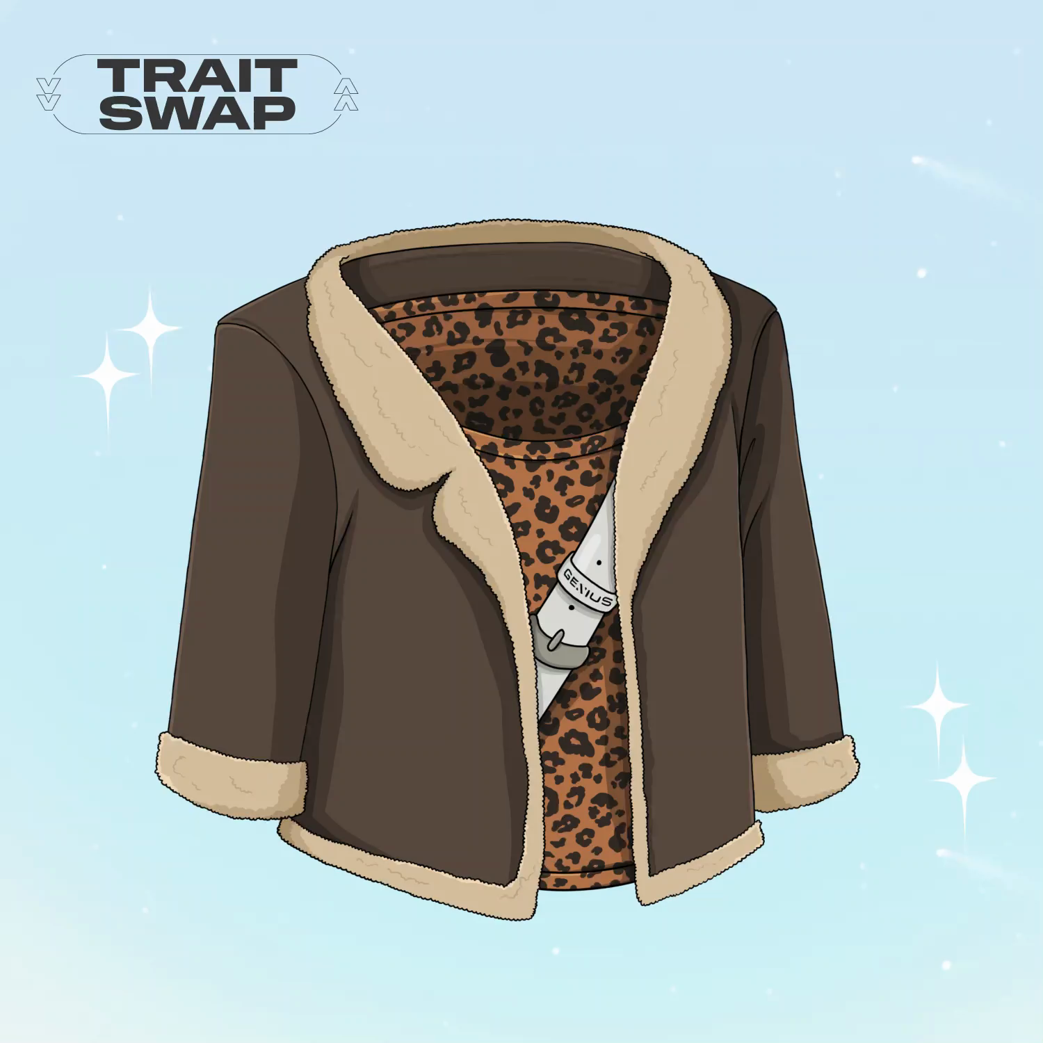Brown Aviator Jacket